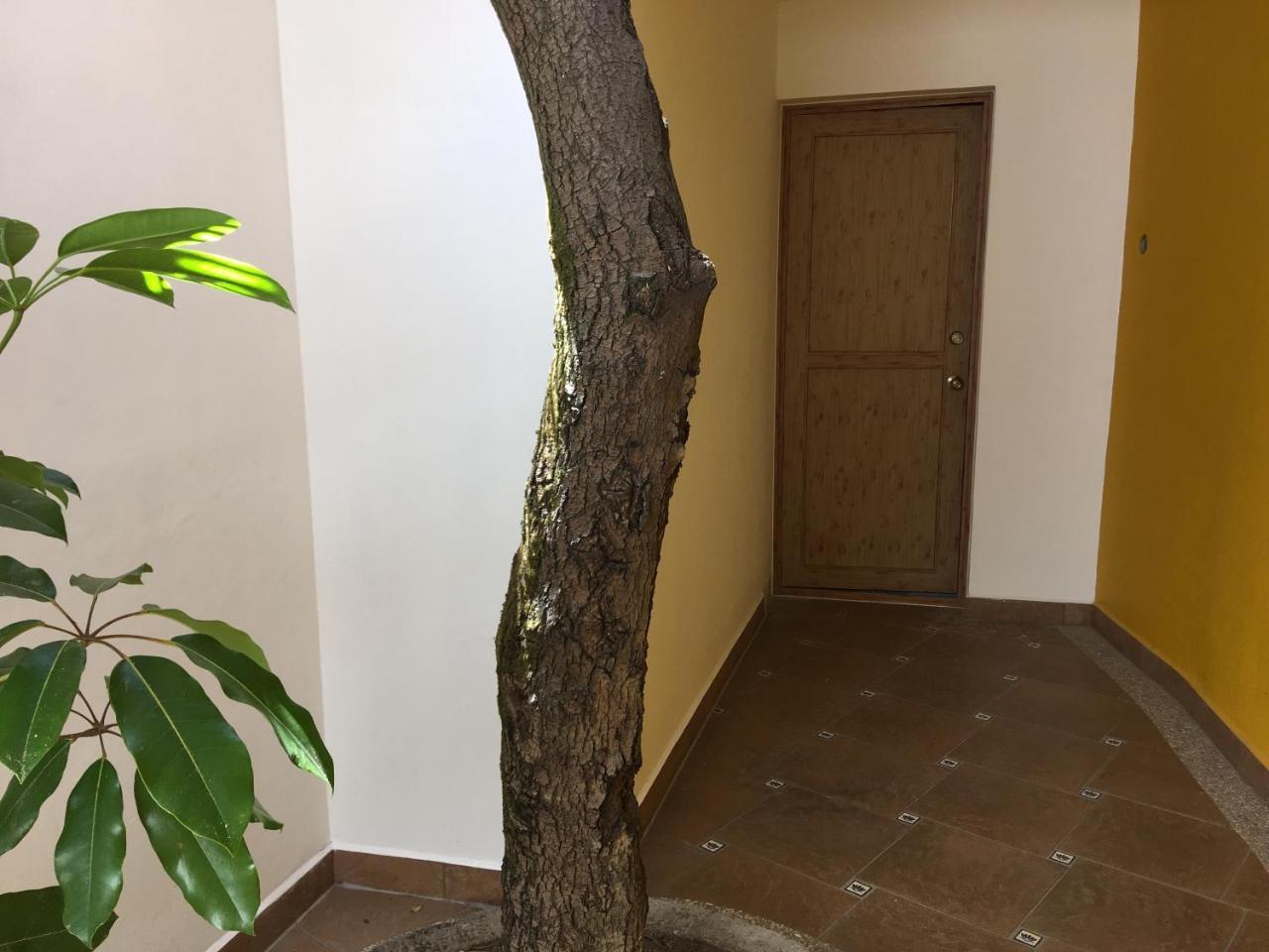 מלון ואלה דה בראבו Casa Cielo מראה חיצוני תמונה